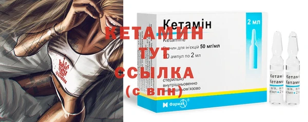 сатива Богданович