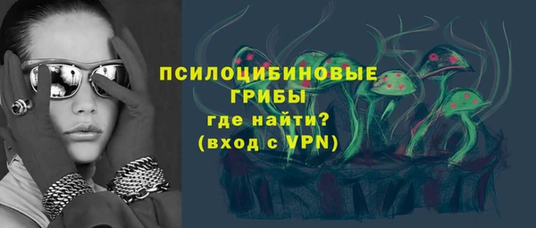 сатива Богданович