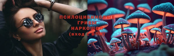 сатива Богданович