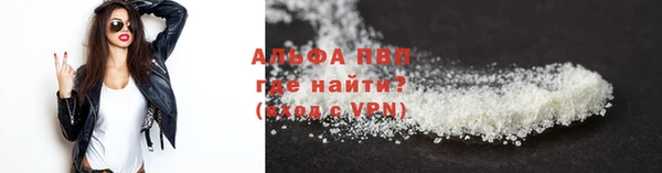 сатива Богданович