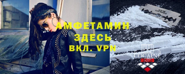 сатива Богданович