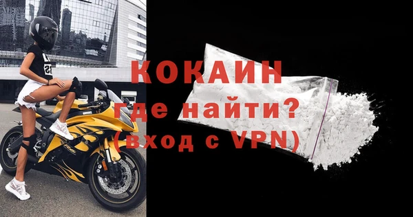 сатива Богданович