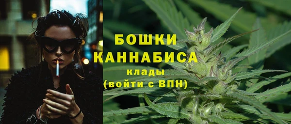 сатива Богданович