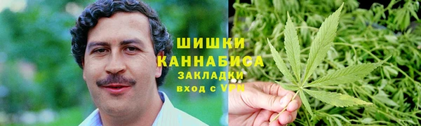 сатива Богданович