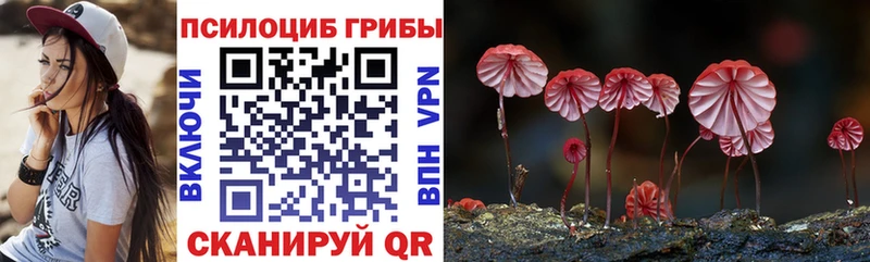 закладка  Пермь  omg ссылки  Галлюциногенные грибы Cubensis 